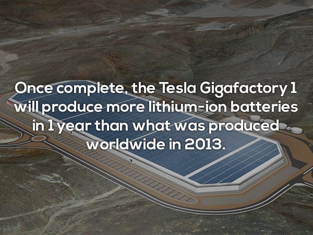 Interesting Facts (24 pics)
