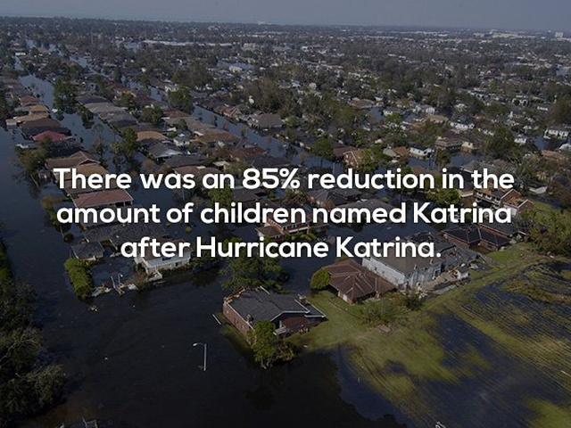 Interesting Facts (24 pics)