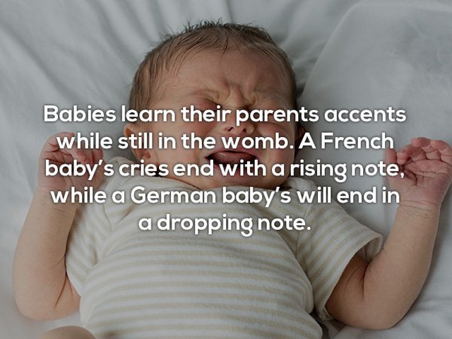 Interesting Facts (24 pics)