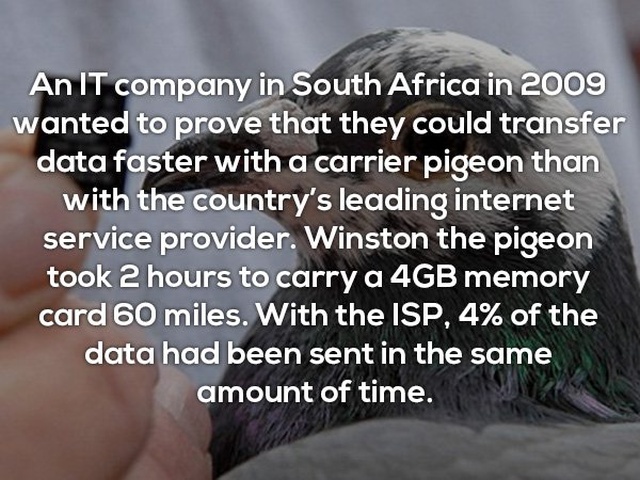 Interesting Facts (24 pics)