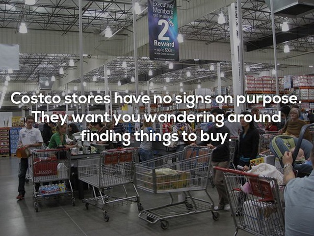 Interesting Facts (24 pics)