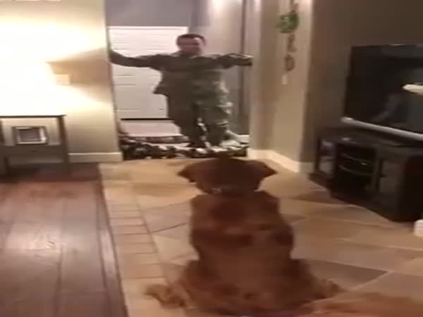 Dog's Reaction To Magic Trick