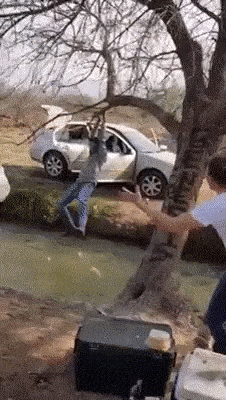 Acid Gifdump, September 04, 2018 (25 gifs)