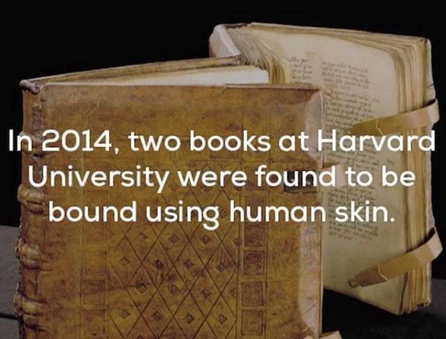 Scary Facts (34 pics)