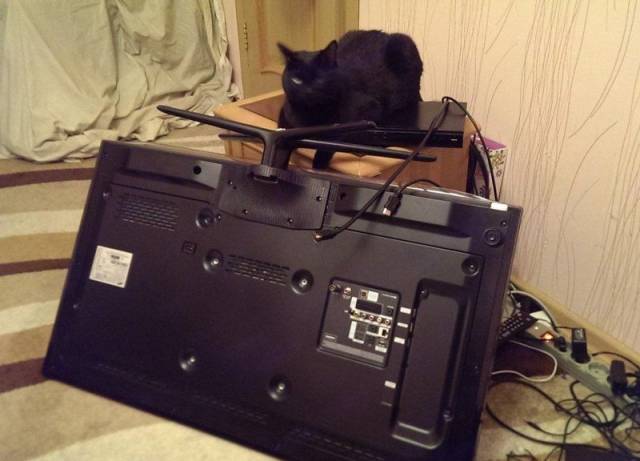 Sh*t Happens Too Often (40 pics)