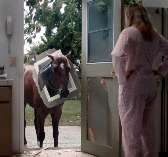 Sh*t Happens Too Often (40 pics)