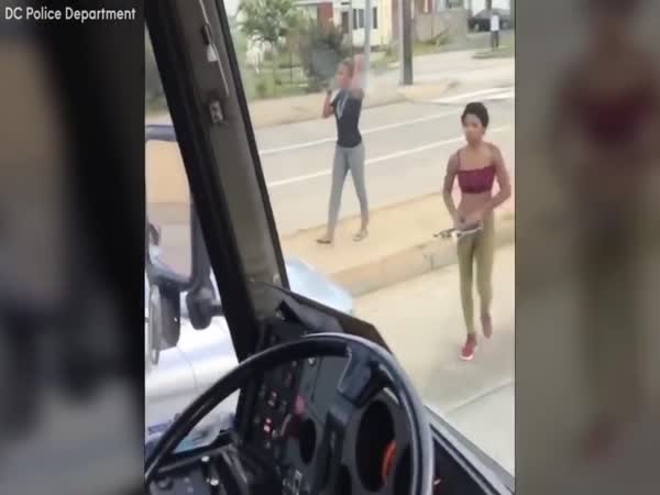 Woman Smashes Bus Window, Hits Man With Car