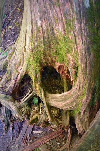 Acid Picdump (133 pics)