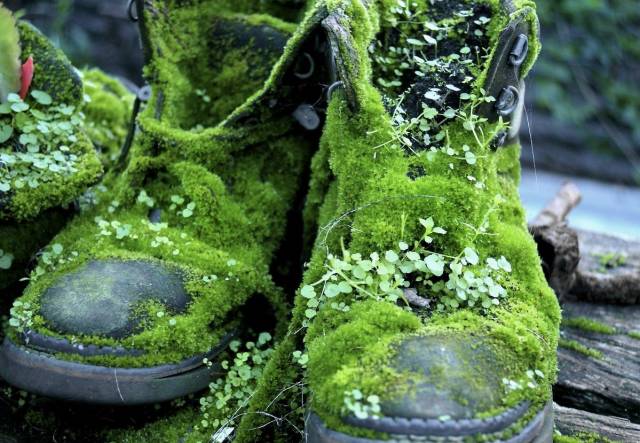 Acid Picdump (133 pics)