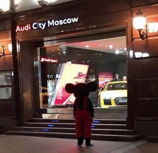 Acid Picdump (133 pics)