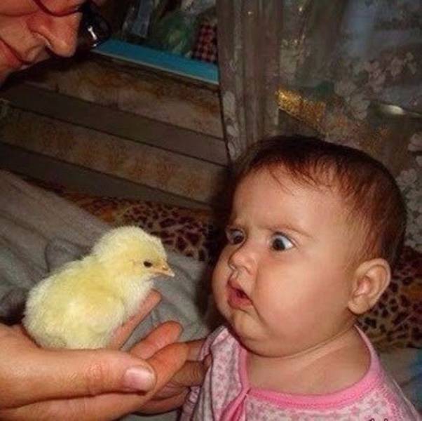 Acid Picdump (133 pics)