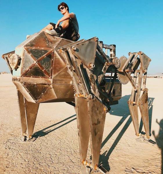 Burning Man 2018 Photos (54 pics)