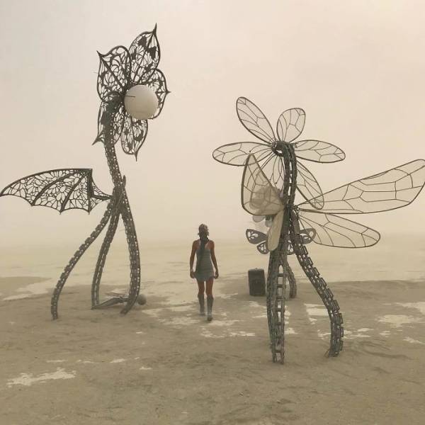 Burning Man 2018 Photos (54 pics)