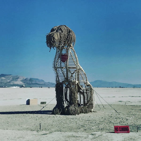 Burning Man 2018 Photos (54 pics)