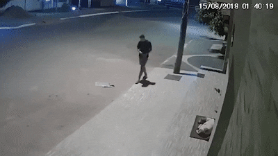 Acid Gifdump, September 05, 2018 (25 gifs)