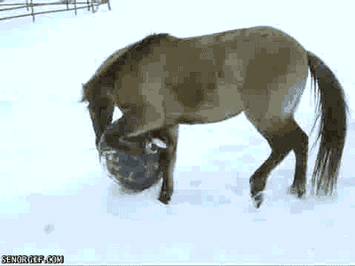 Acid Gifdump, September 05, 2018 (25 gifs)