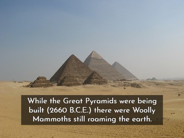Historical Facts (20 pics)