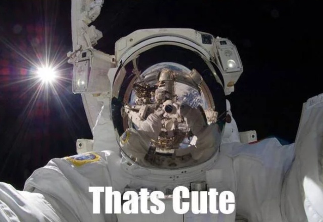 The Coolest Selfie Ever (3 pics)