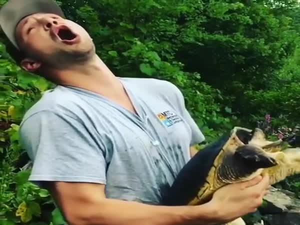 Kissing A Snapping Turtle Is A Great Idea