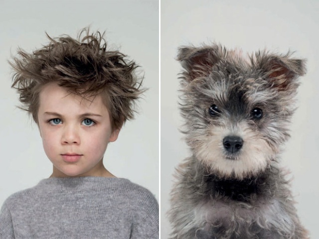 Photographer Puts Dogs And Their Owners Side By Side (10 pics)