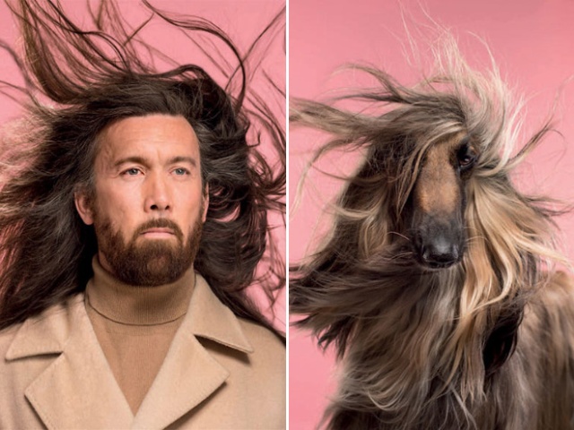 Photographer Puts Dogs And Their Owners Side By Side (10 pics)