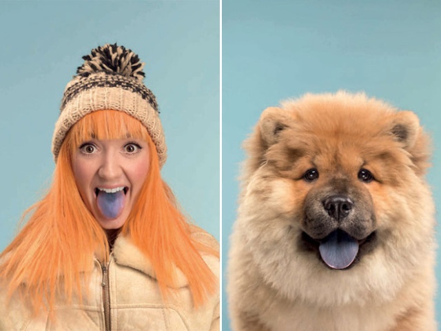 Photographer Puts Dogs And Their Owners Side By Side (10 pics)