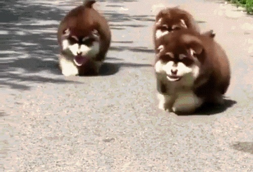 Acid Gifdump, September 06, 2018 (25 gifs)
