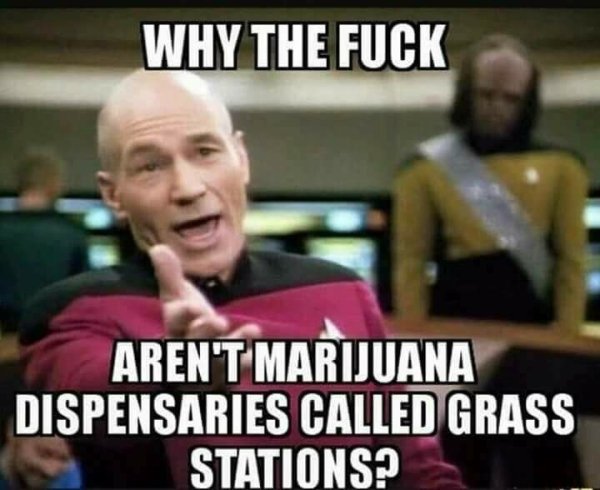 So True (42 pics)