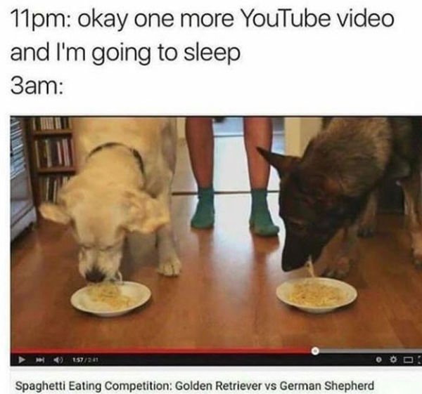 So True (42 pics)
