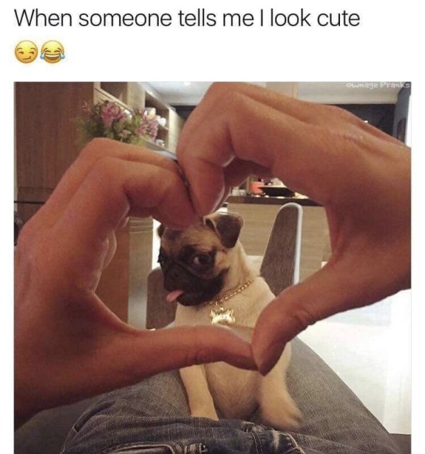 So True (42 pics)