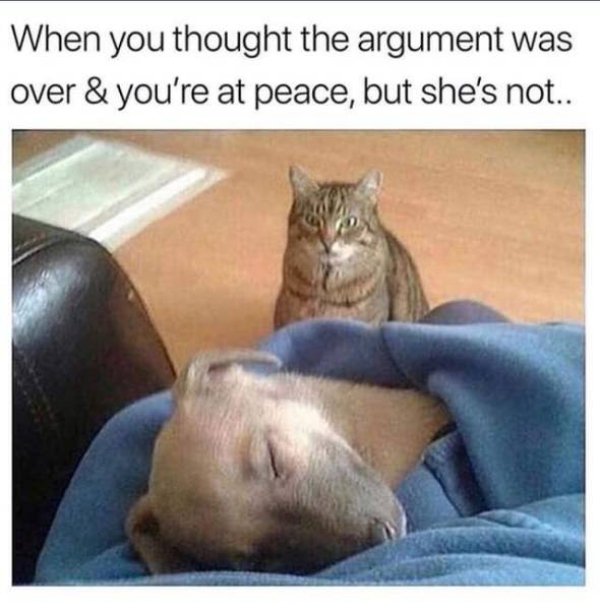 So True (42 pics)