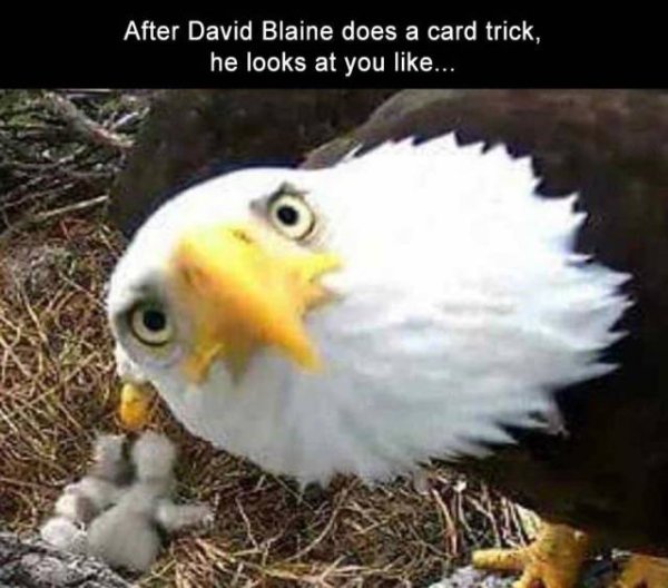 So True (42 pics)