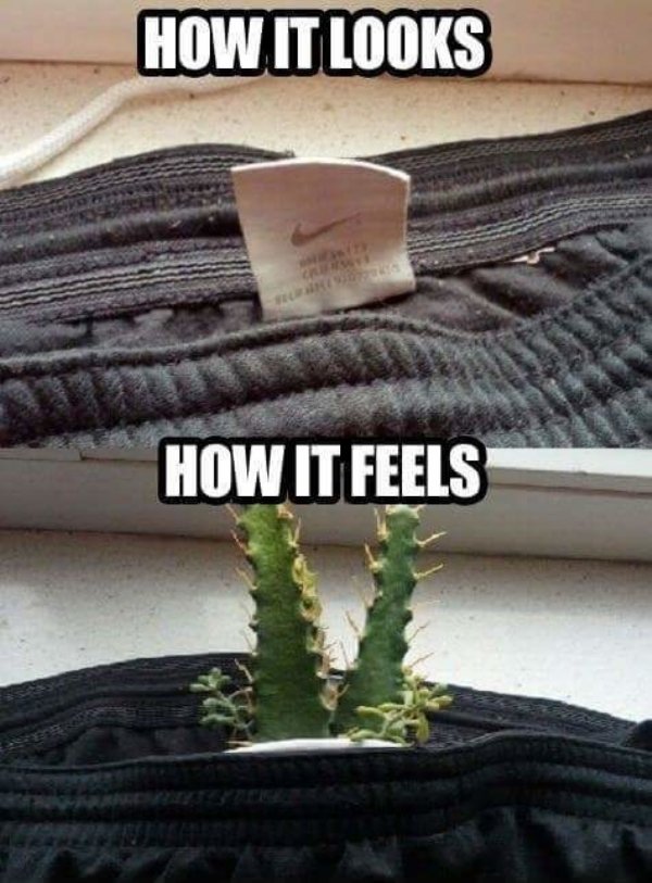 So True (42 pics)