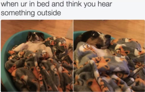So True (42 pics)