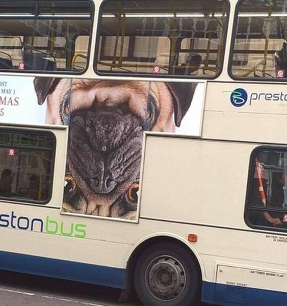 People Who Just Don't Care (44 pics)