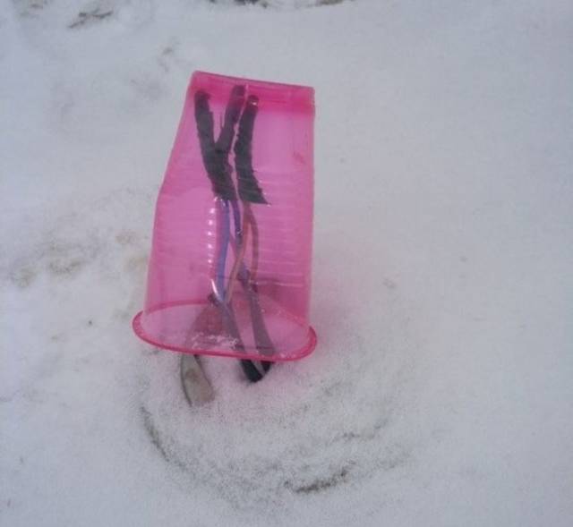 People Who Just Don't Care (44 pics)