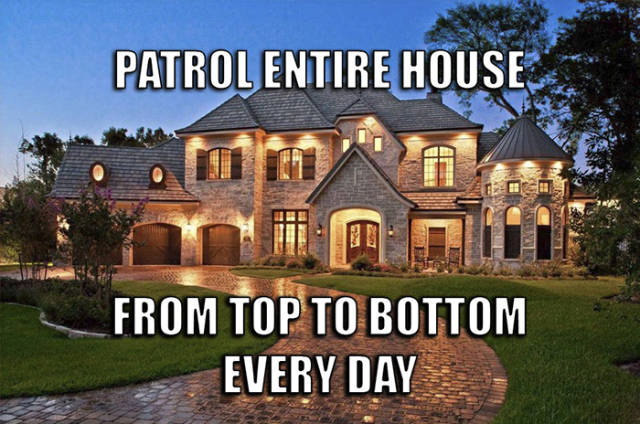 Security Manager’s Story (22 pics)