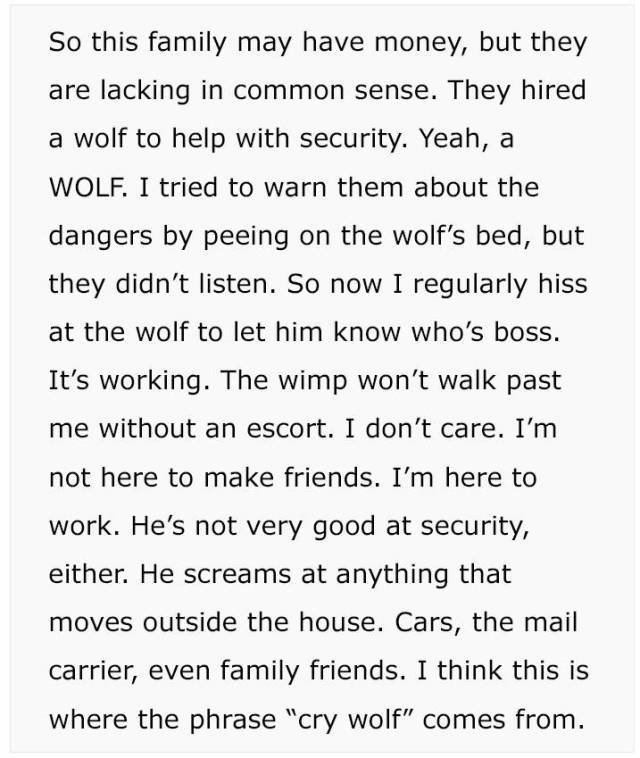 Security Manager’s Story (22 pics)