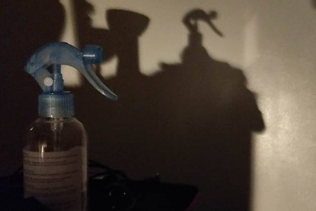 Shadows Can Be Interesting (48 pics)