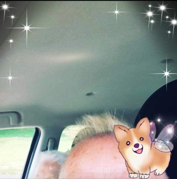 Senior Citizens Vs Technology (35 pics)