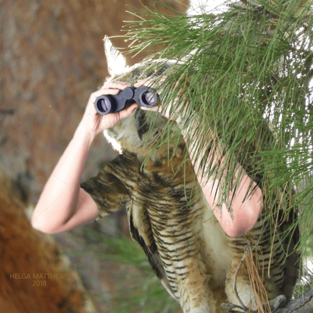 Funny Birds With Human Hands (20 pics)