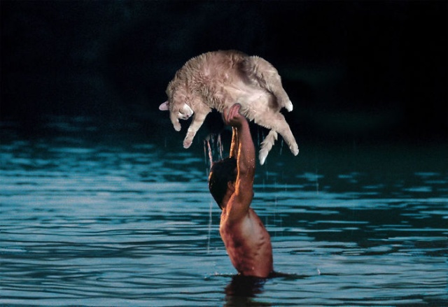 Resting Cat Gets Photoshopped (18 pics)