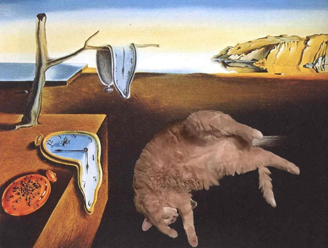 Resting Cat Gets Photoshopped (18 pics)