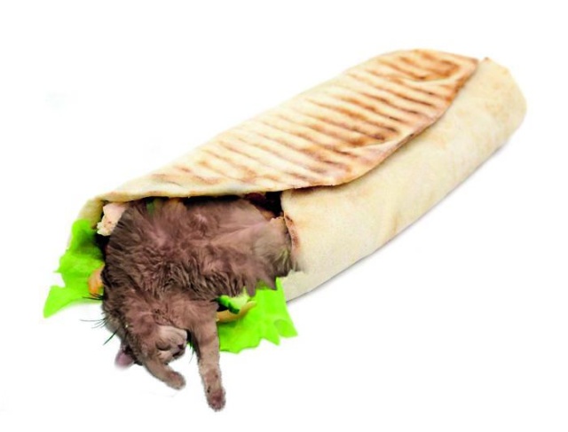 Resting Cat Gets Photoshopped (18 pics)