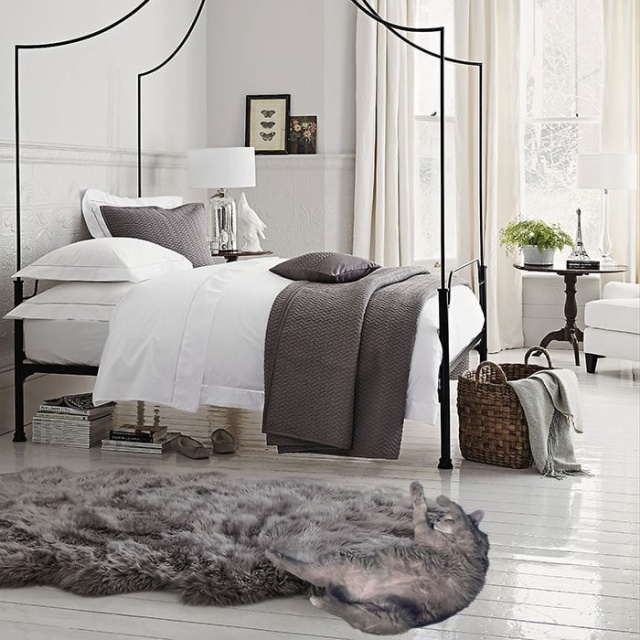Resting Cat Gets Photoshopped (18 pics)