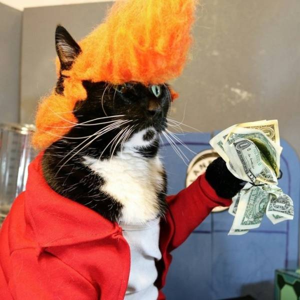 Examples Of Really Good Cosplay (39 pics)