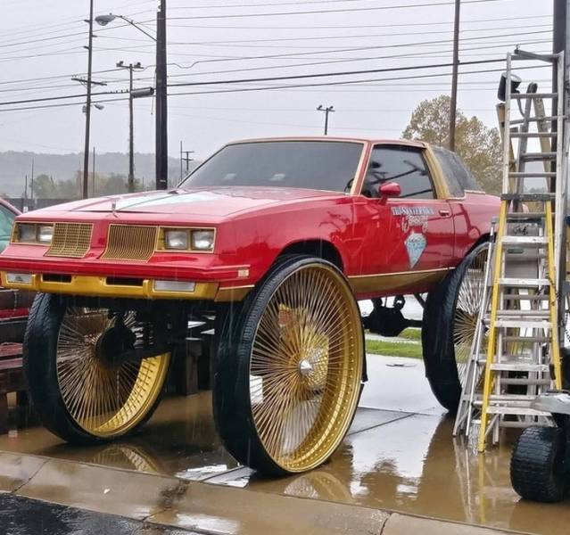 It's All Very Creative (65 pics)