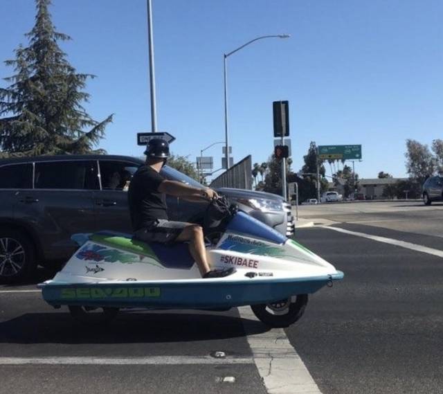 It's All Very Creative (65 pics)