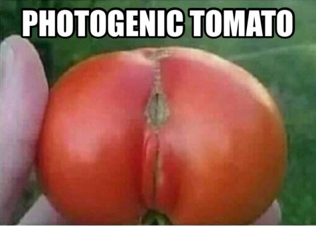 These Photos Are For Adults Only (50 pics)
