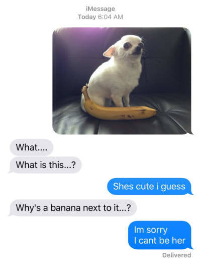 Funny Texts (33 pics)